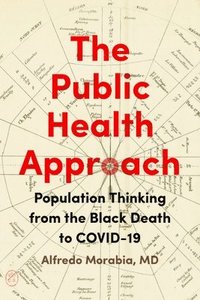 bokomslag The Public Health Approach