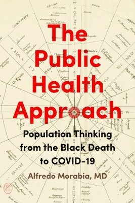 bokomslag Public Health Approach