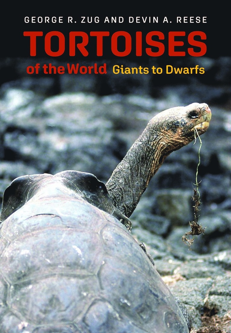 Tortoises of the World 1