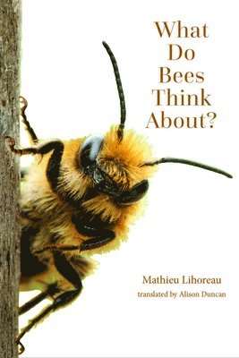What Do Bees Think About? 1
