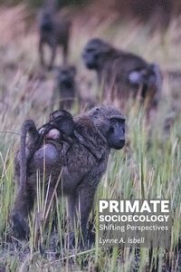 bokomslag Primate Socioecology