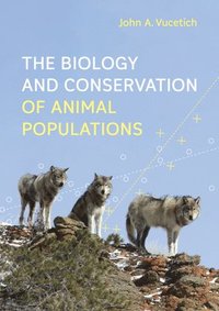 bokomslag The Biology and Conservation of Animal Populations
