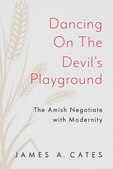 James A. Cates - Dancing on the Devil's Playground, Häftad