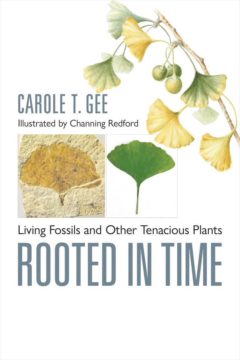 Carole T. Gee, University of Bonn) Gee, Carole T. (Associate Professor of Paleontology - Rooted in Time, Inbunden
