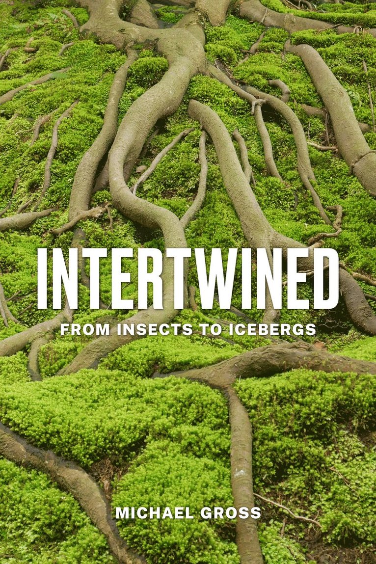 Michael Gross - Intertwined, Inbunden