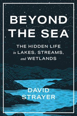 Beyond the Sea 1