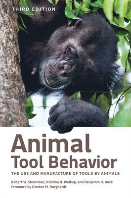 Animal Tool Behavior 1