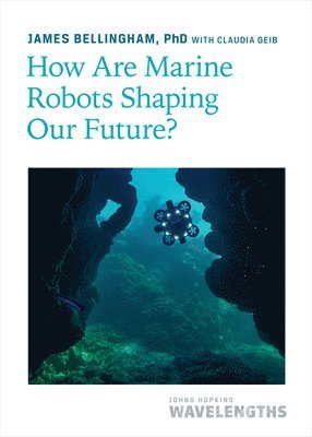 How Are Marine Robots Shaping Our Future? 1