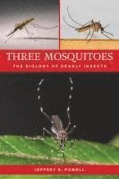 Three Mosquitoes 1