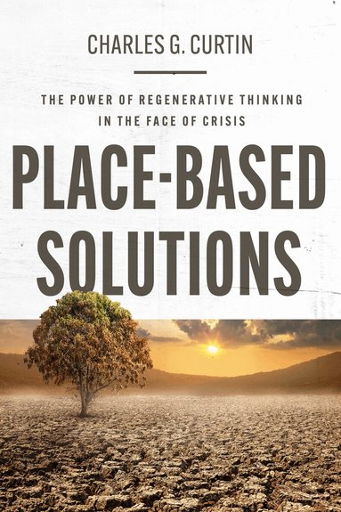 Charles G. Curtin - Place-Based Solutions, Häftad