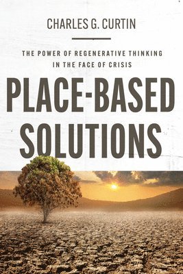 bokomslag Place-Based Solutions
