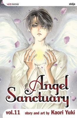 bokomslag Angel Sanctuary, Vol. 11: Volume 11