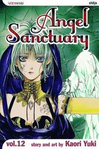 bokomslag Angel Sanctuary, Vol. 12