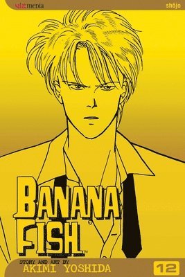 bokomslag Banana Fish, Vol. 12