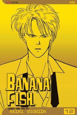 bokomslag Banana Fish, Vol. 12: Volume 12