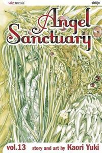 bokomslag Angel Sanctuary, Vol. 13