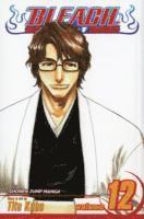 bokomslag Bleach, Vol. 12