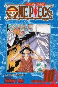 bokomslag One Piece, Vol. 10