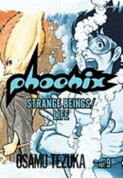 Phoenix V09