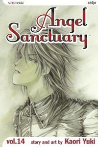 bokomslag Angel Sanctuary, Vol. 14