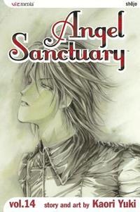 bokomslag Angel Sanctuary, Vol. 14: Volume 14