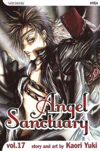bokomslag Angel Sanctuary, Vol. 17