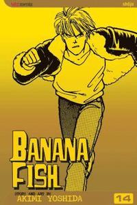 bokomslag Banana Fish, Vol. 14: Volume 14