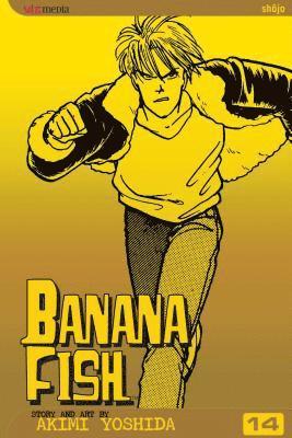 bokomslag Banana Fish, Vol. 14