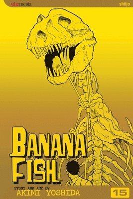 bokomslag Banana Fish, Vol. 15