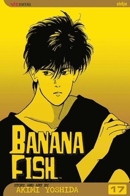 bokomslag Banana Fish, Vol. 17