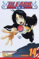 Tite Kubo - Bleach, Vol. 14, Häftad