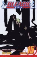 Bleach, Vol. 15: Volume 15 1