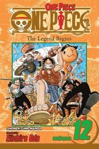 bokomslag One Piece, Vol. 12