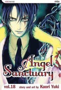 bokomslag Angel Sanctuary, Vol. 18