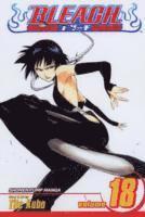 bokomslag Bleach, Vol. 18