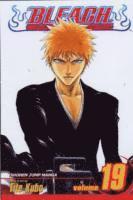 bokomslag Bleach, Vol. 19