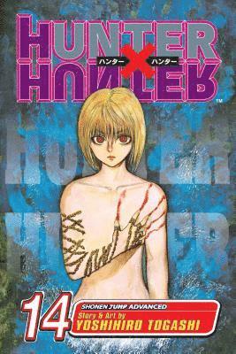 bokomslag Hunter x Hunter, Vol. 14: Volume 14