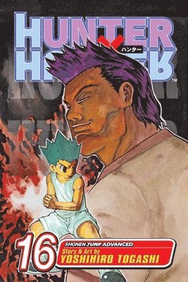 Hunter x Hunter, Vol. 16: Volume 16 1