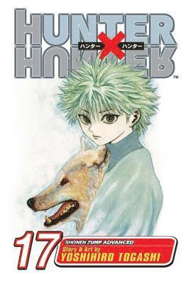 bokomslag Hunter x Hunter, Vol. 17: Volume 17