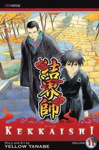 bokomslag Kekkaishi, Vol. 11