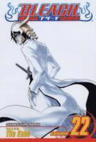 bokomslag Bleach, Vol. 22