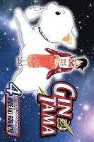 bokomslag Gin Tama, Vol. 4