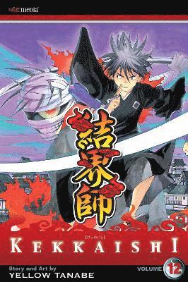 bokomslag Kekkaishi, Vol. 12