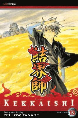 bokomslag Kekkaishi, Vol. 13: Volume 13