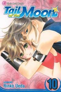 bokomslag Tail of the Moon, Vol. 10