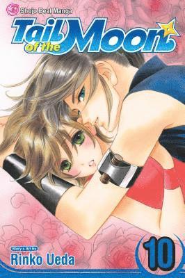 bokomslag Tail of the Moon, Vol. 10