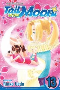 bokomslag Tail of the Moon, Vol. 13