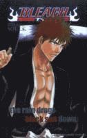 bokomslag Bleach SOULs. Official Character Book