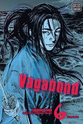 bokomslag Vagabond (VIZBIG Edition), Vol. 6