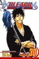 bokomslag Bleach, Vol. 30